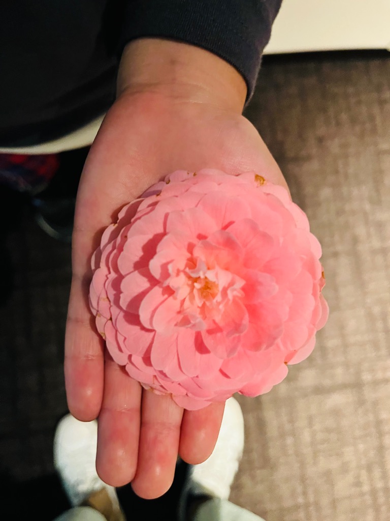 新学期♪中高生のレッスンについて